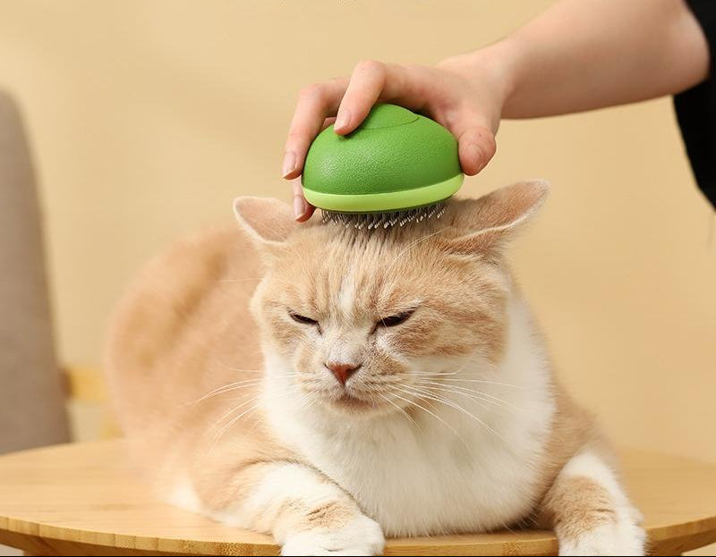 Escova em formato de abacate a remover pelos soltos de um gato